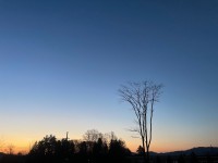 /images/2023-02-18/IMG_5516.jpg