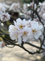 /images/2023-03-12/IMG_5696.jpg