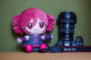 EOS R5とのサイズ比較