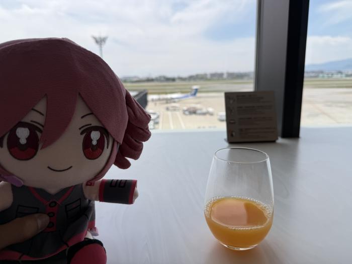 久しぶりの伊丹空港