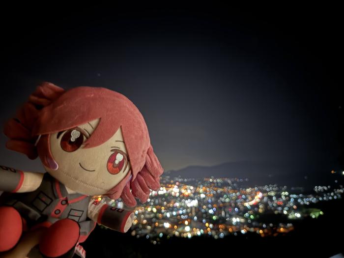旭展望台からの夜景