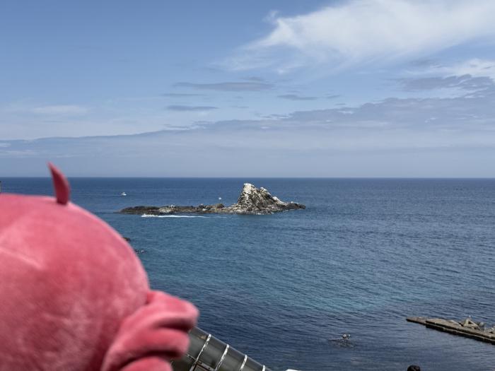 水族館から眺めるトド岩