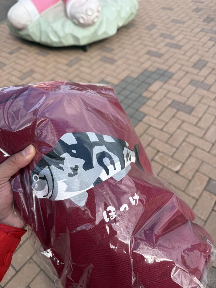 買ってしまったほっけパーカー
