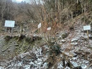 登山口の様子
