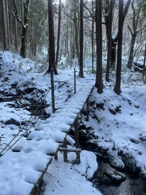 沢の上を越えていく木道