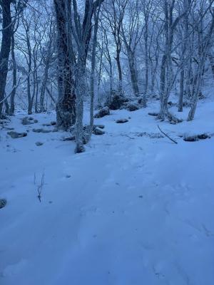 突き当りまで直登したあと左に折れると登山道が見えてくる