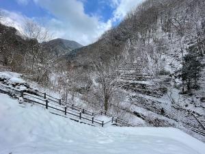 琴南のえぴあみかどの雪の様子