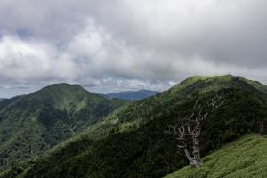 一ノ森方面から剣山・次郎笈を望む