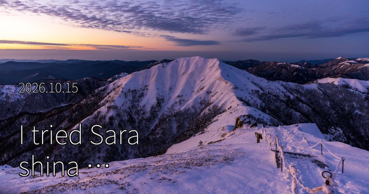 I tried Sarashina Translate API for my technical blog posts